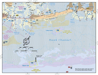 Detailed map of Islamorada and Alligator Reef