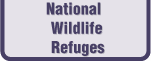 National Wildlife Refuges