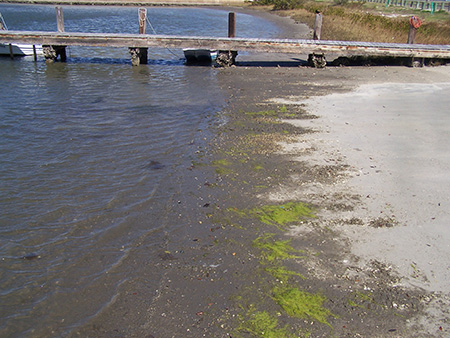 Image of Boat Ramp