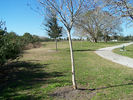 Image of Boat Ramp