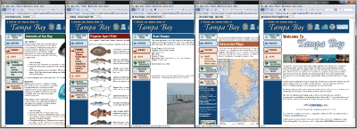 A collage of screen shots of the online Boating and Angling Guide to Tampa Bay