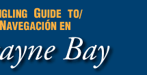 A Boating and Angling Guide to Biscayne Bay