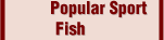Popular Sport Fish