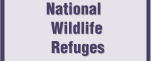 National Wildlife Refuges