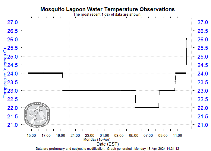 Mosquito Lagoon Cold Snap